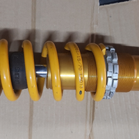 Mono ohlins per beta evo 300