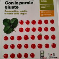 Con le Parole giuste - Grammatica Liceo