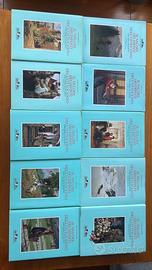 Libri arte dipinti italiani