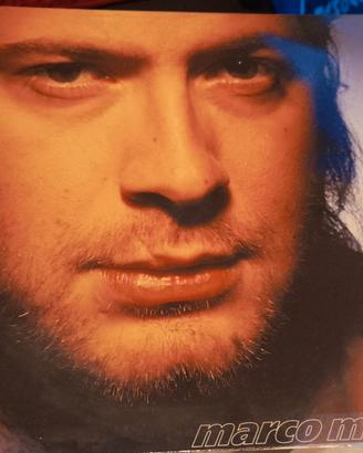 dischi in vinile 