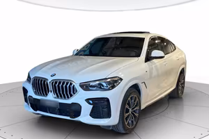 BMW X6 xdrive30d MHEV 48V Msport auto