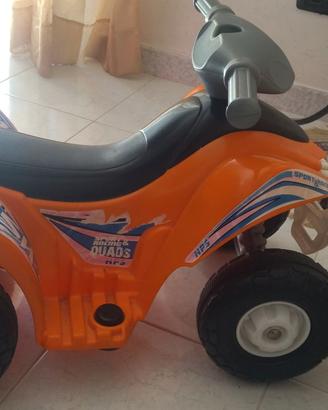 Quad bimbi