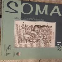 Rivista Antropologia Medica 1/98