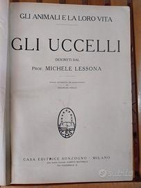 libro d'epoca del 1926 gli uccelli