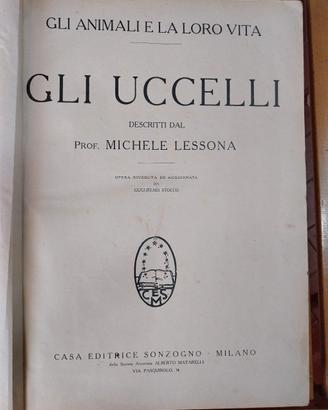 libro d'epoca del 1926 gli uccelli