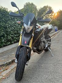 Aprilia dorsoduro