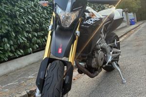Aprilia dorsoduro