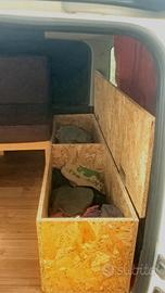 Macchina camperizzata