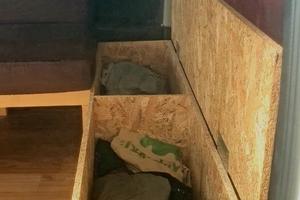 Macchina camperizzata