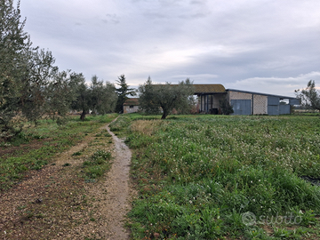 Terreni e strutture ricettive