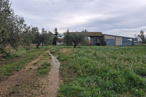 Terreni e strutture ricettive