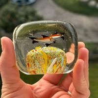 Fermacarta acquario in vetro di murano