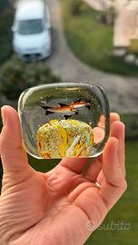 Fermacarta acquario in vetro di murano