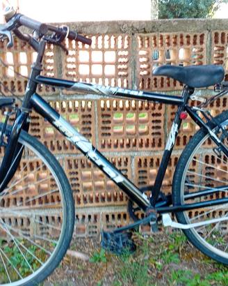 Bicicletta da passeggio  e montabike