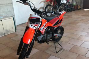 Mini moto 150 Beta quattro tempi benzina