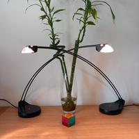 Coppia lampade Tronconi Speaker