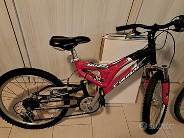 bicicletta 20