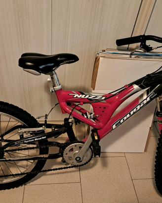 bicicletta 20