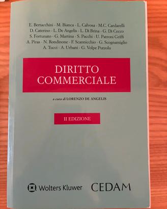 Diritto commerciale a cura di L De Angelis Cedam