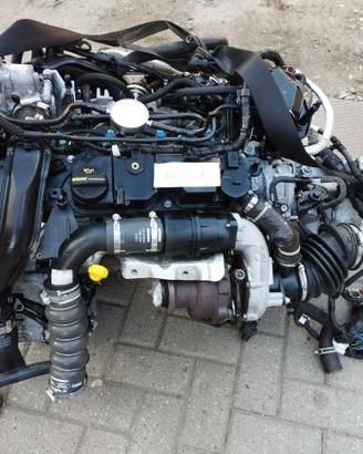 motore ford 1.5 xwbd