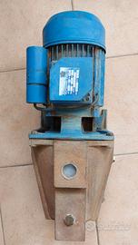 AUTOCLAVE ELETTROPOMPA MONOFASE AUTOADESCANTE 220V