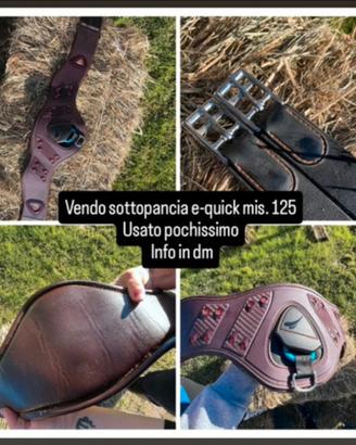Sottopancia e Quick