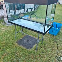 Acquario completo di accessori