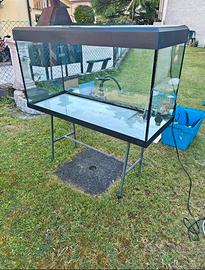 Acquario completo di accessori