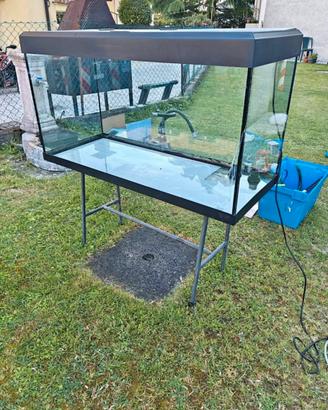 Acquario completo di accessori