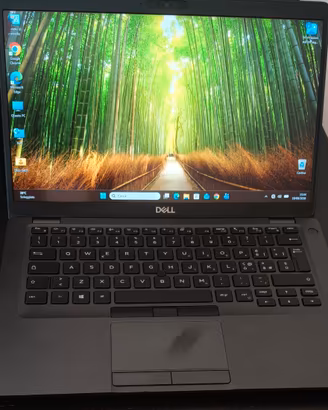 Notebook DELL 5401 Touchscreen con danno a Display