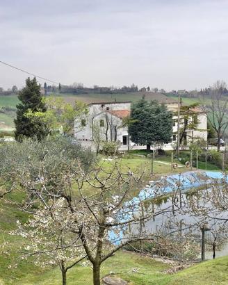 Casa indipendente di 238 m² con 5 locali a Meldola