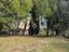 Immagine 28