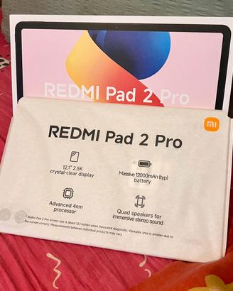 Xiaomi Redmi Pad 2Pro 8GB/256GB Argento