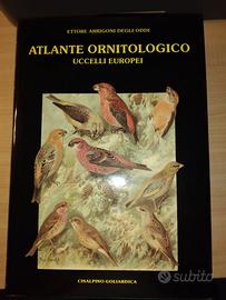 Atlante Ornitologico Uccelli Europei Degli Oddi
