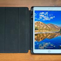 iPad 7 (10.2) 32 gb in buonissime condizioni