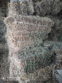 fieno 