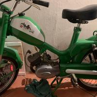 Giulietta Peripoli 50 leggi bene