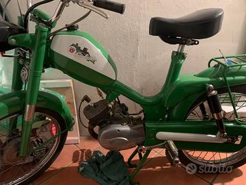 Giulietta Peripoli 50 leggi bene