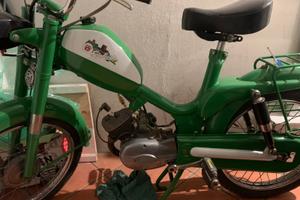 Giulietta Peripoli 50 leggi bene