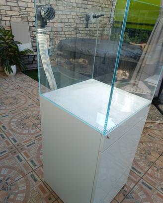 Acquario marino