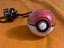Immagine 2