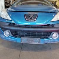 Paraurti anteriore PEUGEOT 207 del 2006