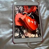 Ipad mini 1 - 16 GB Wi-Fi – Funzionante