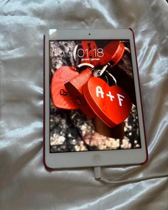 Ipad mini 1 - 16 GB Wi-Fi – Funzionante
