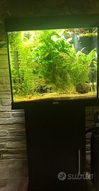 Acquario Juwel Lido 120 con mobile Juwel