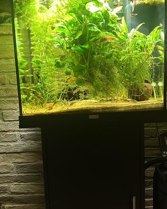 Acquario Juwel Lido 120 con mobile Juwel