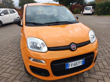 FIAT Panda 3ª serie - 2019