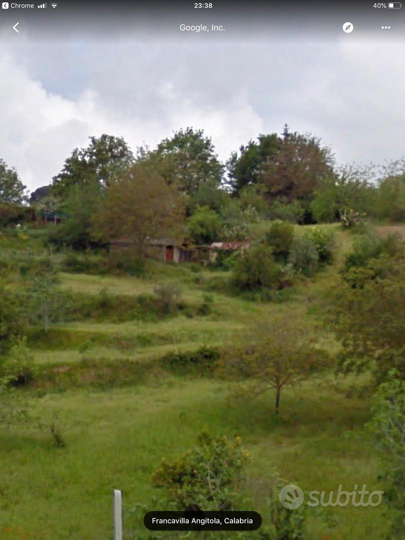 Terreno Francavilla Angitola - Vista 2