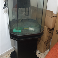 Acquario verticale 200L