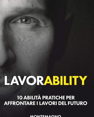 Lavorability (Montemagno)